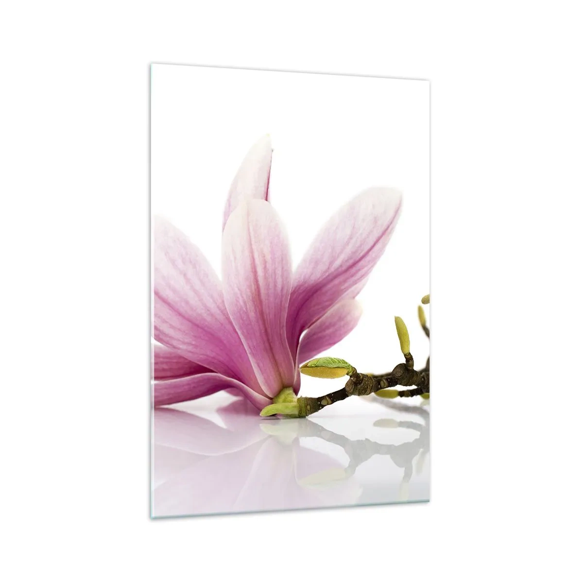 Cuadro sobre vidrio - Impresiones sobre Vidrio - Delicadas magnolias rosas sobre un fondo blanco. - 70x100cm - Suave como un soplo de primavera - Decoración de pared moderna para salón y dormitorio ARTTOR