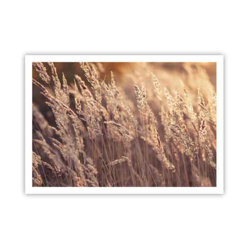 Póster - Hierbas doradas con el sol poniente como telón de fondo - 100x70cm - Listos para dar la bienvenida al otoño - Decoración de pared moderna para salón y dormitorio ARTTOR