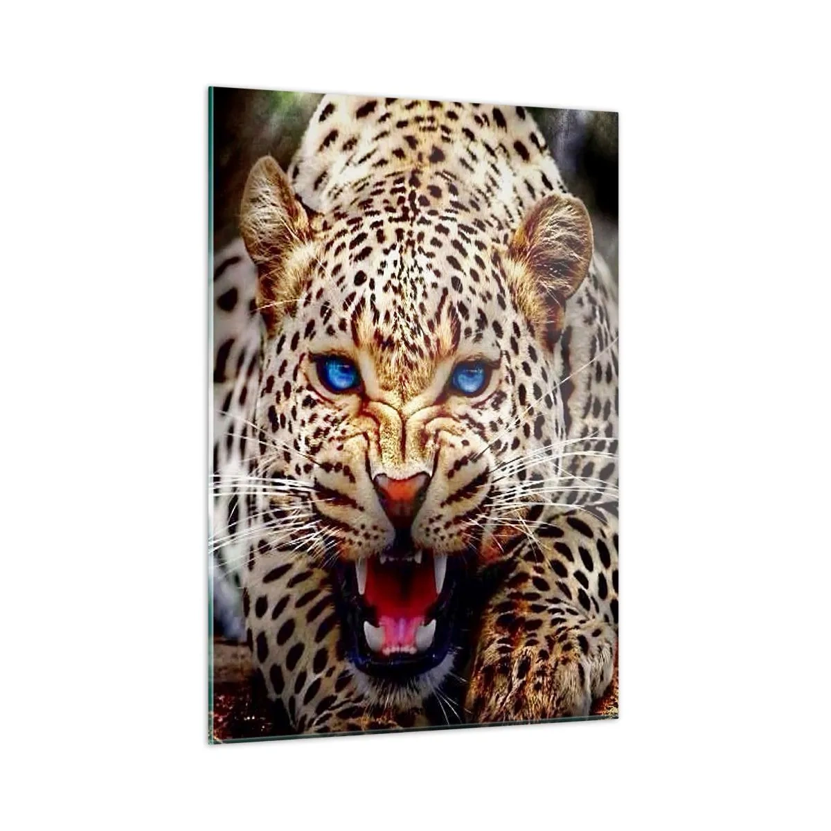 Cuadro sobre vidrio - Impresiones sobre Vidrio - Un feroz leopardo de ojos azules en estado salvaje. - 50x70cm - La ira no daña la belleza - Decoración de pared moderna para salón y dormitorio ARTTOR