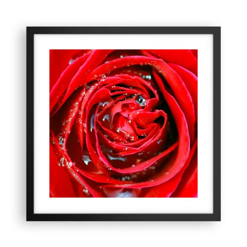 Póster en marco negro - En gotas de rocío - 40x40 cm