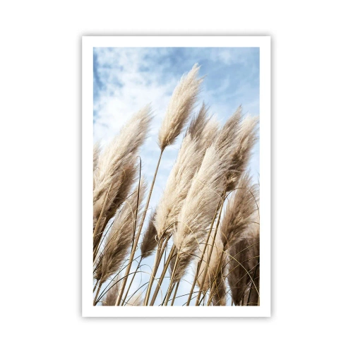 Póster - Una caricia soleada y ventosa - 61x91 cm