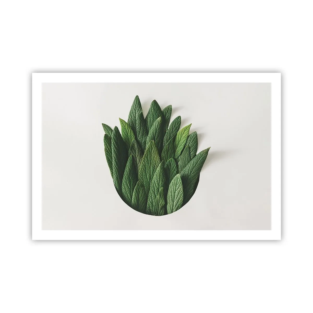 Póster - Curiosidad desenfrenada - 91x61 cm