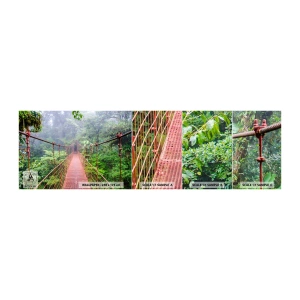 Muestra de fotomural autoadhesivo Deluxe Sticker - Suspendido sobre las copas - Paisaje, Selva, Costa Rica - 100x30 cm