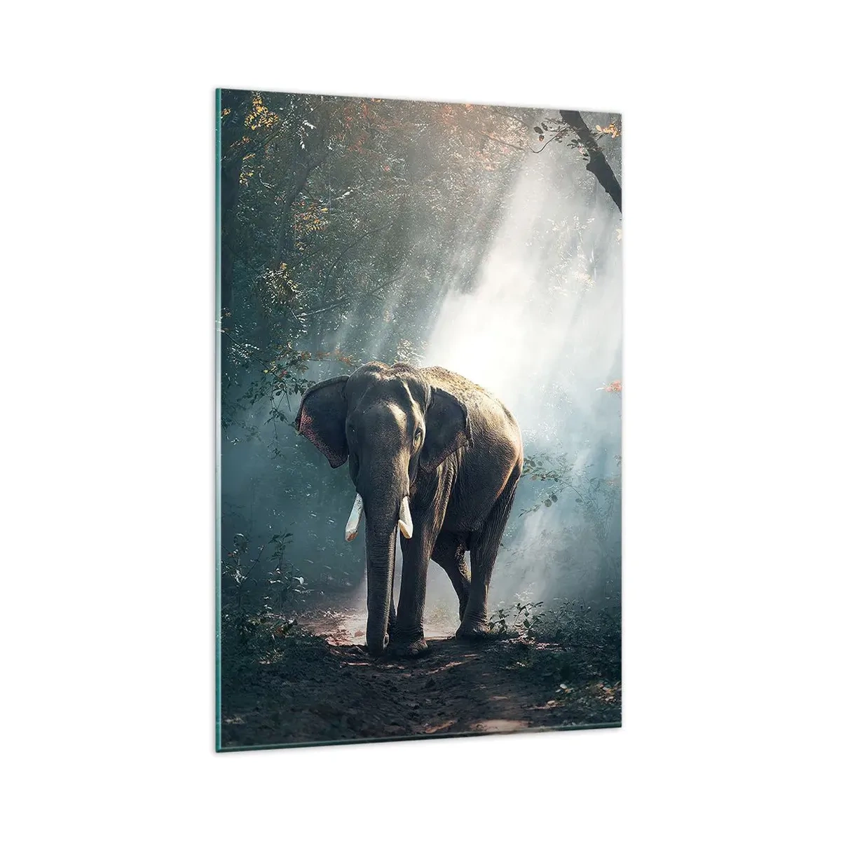 Cuadro sobre vidrio - Impresiones sobre Vidrio - Elefante en la luz del bosque - 80x120cm - Un paseo tranquilo - Decoración de pared moderna para salón y dormitorio ARTTOR
