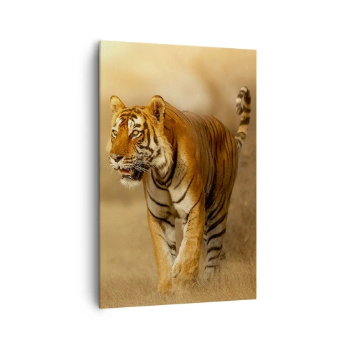 Cuadro sobre lienzo - Impresión de Imagen - Un tigre caminando por la sabana en colores cálidos. - 80x120cm - Antes del ataque - Decoración de pared moderna para salón y dormitorio ARTTOR