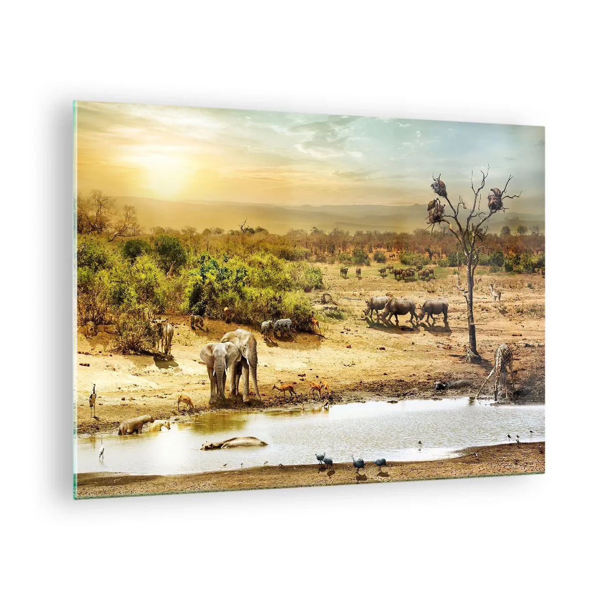 Cuadro sobre vidrio - Impresiones sobre Vidrio - Elefantes y animales en un abrevadero con un paisaje africano como telón de fondo. - 70x50cm - Y del Edén fluyó un río... - Decoración de pared moderna para salón y dormitorio ARTTOR