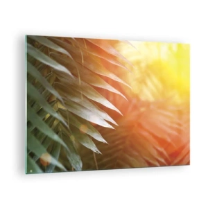 Cuadro sobre vidrio - Impresiones sobre Vidrio - Hojas de palmera bajo el resplandor del sol de la mañana en un entorno tropical. - 70x50cm - Mañana en la selva - Decoración de pared moderna para salón y dormitorio ARTTOR