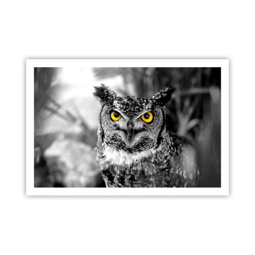 Póster - Nada se puede ocultar - 91x61 cm