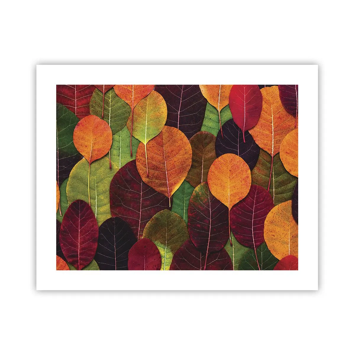Póster - Mosaico de otoño - 50x40 cm