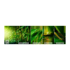Muestra De Fotomural Standard Eco - Conocer el propio verdor - Planta, Bambú, Selva - 100x30 cm