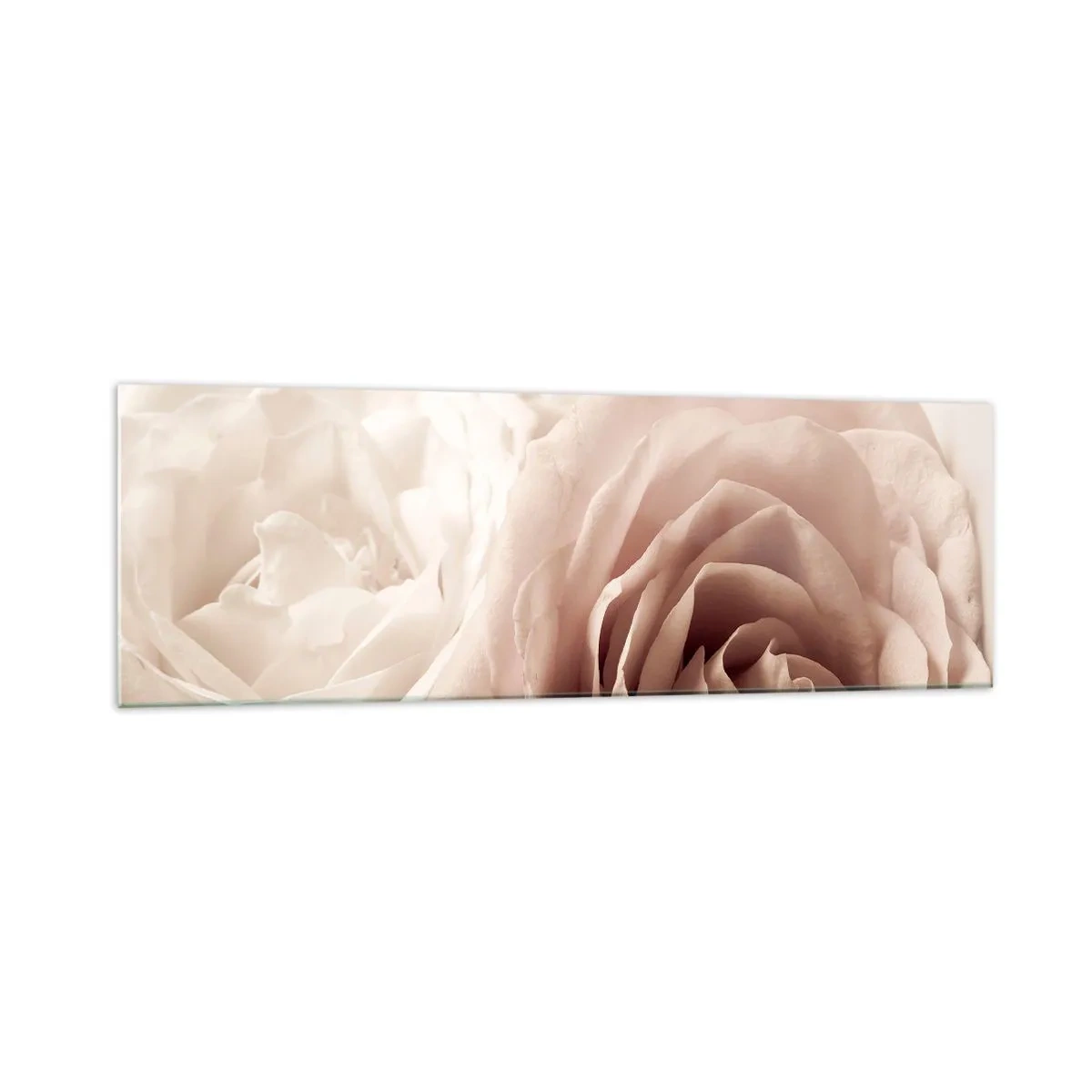 Cuadro sobre vidrio - Impresiones sobre Vidrio - Delicadas rosas en tonos pastel beige. - 160x50cm - En el corazón de una rosa - Decoración de pared moderna para salón y dormitorio ARTTOR
