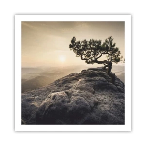 Póster - La vida se abre camino - 60x60 cm