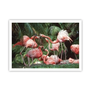 Póster - Un grupo de flamencos en un entorno tropical rodeado de palmeras. - 100x70cm - Cotilleos de la tarde - Decoración de pared moderna para salón y dormitorio ARTTOR