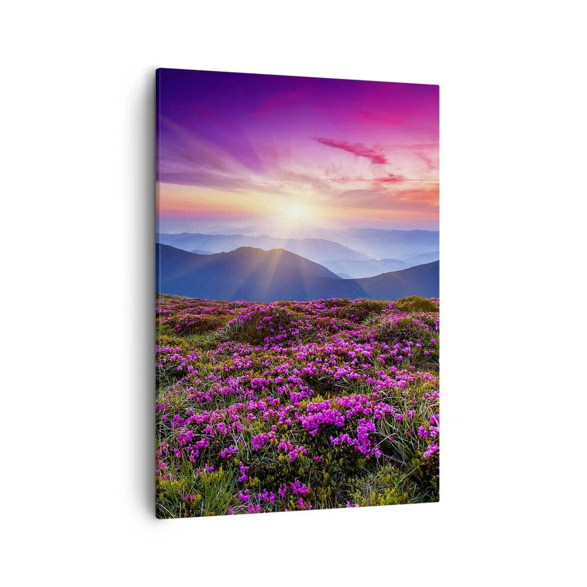 Cuadro sobre lienzo - Impresión de Imagen - Prado de montaña con flores al atardecer - 50x70cm - Dulce aroma a frescura - Decoración de pared moderna para salón y dormitorio ARTTOR