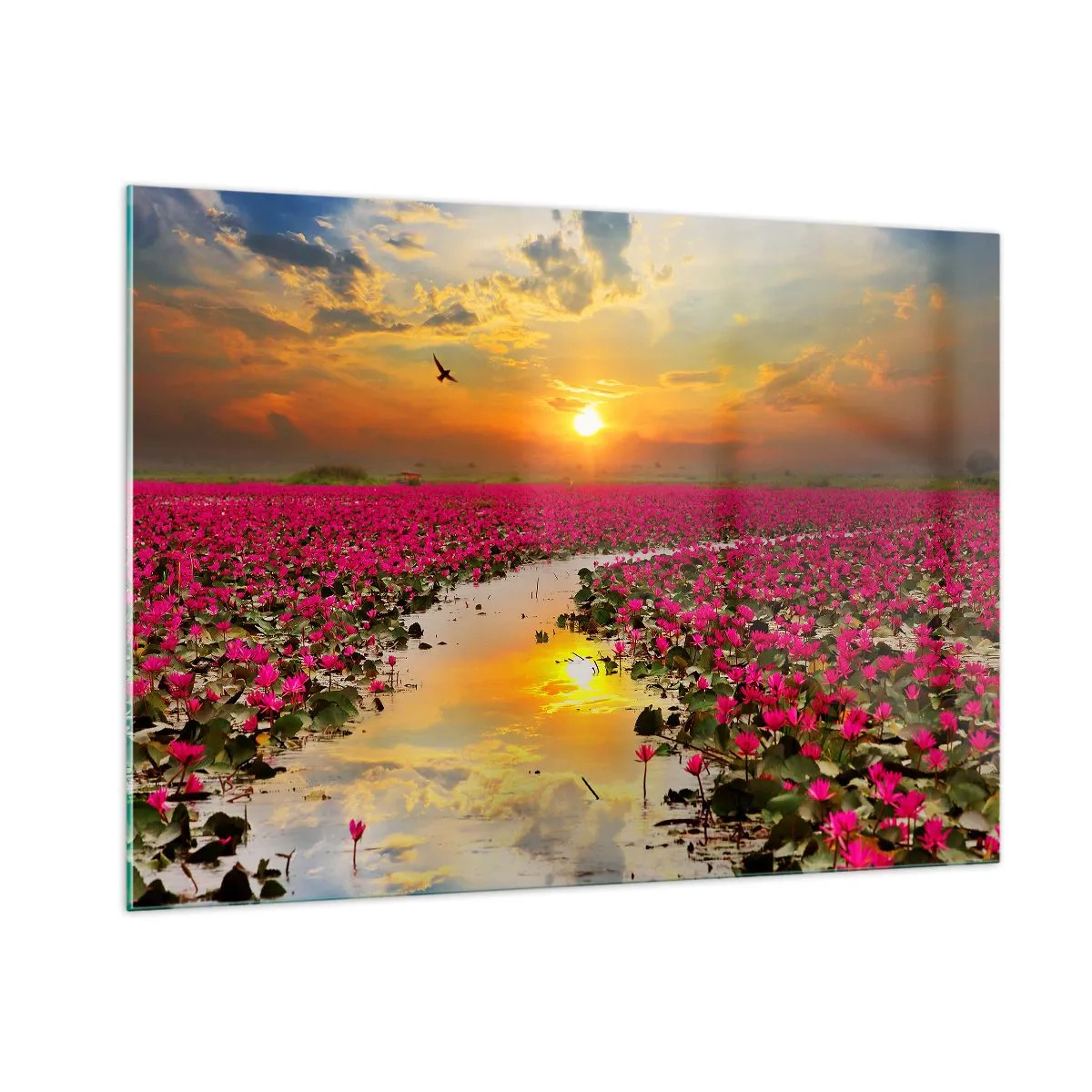 Cuadro sobre vidrio - Impresiones sobre Vidrio - Nenúfares rosados en un lago al atardecer - 100x70cm - La vida secreta del lago - Decoración de pared moderna para salón y dormitorio ARTTOR