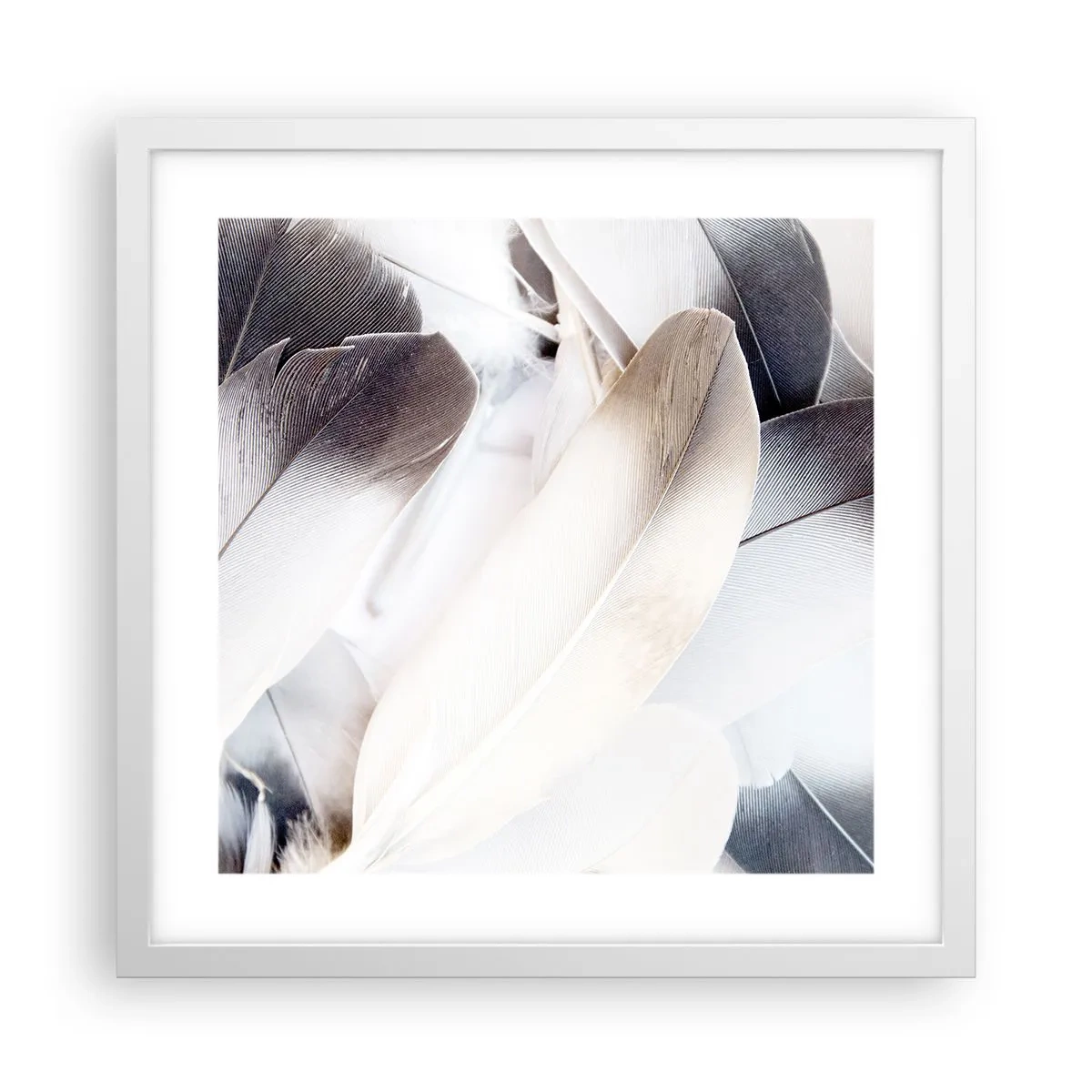 Póster en marco blanco - Casi angelical - 40x40 cm