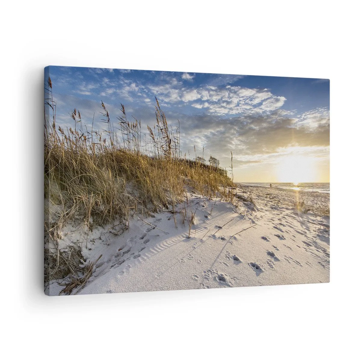 Cuadro sobre lienzo - Impresión de Imagen - Dunas con hierba y huellas en la arena al atardecer - 70x50cm - Invitación a un paseo - Decoración de pared moderna para salón y dormitorio ARTTOR