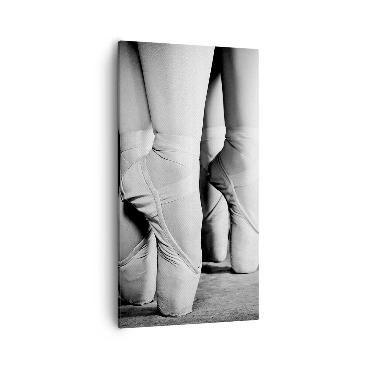 Cuadro sobre lienzo - Impresión de Imagen - En conjunto y al unísono - 55x100 cm