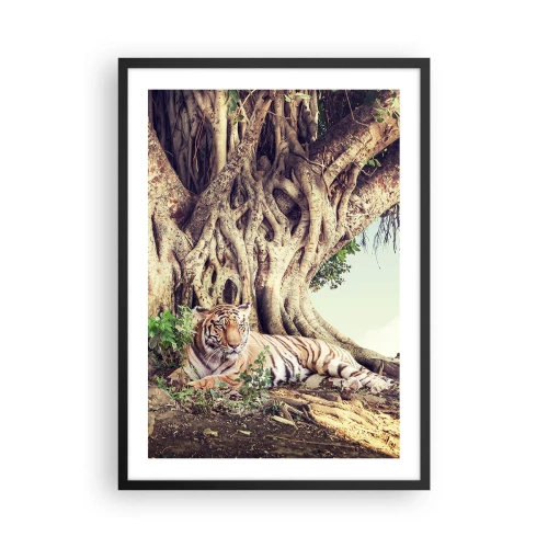 Póster en marco negro - Un tigre descansando bajo un enorme árbol con raíces enredadas. - 50x70cm - Una visión desde el Génesis - Decoración de pared moderna para salón y dormitorio ARTTOR