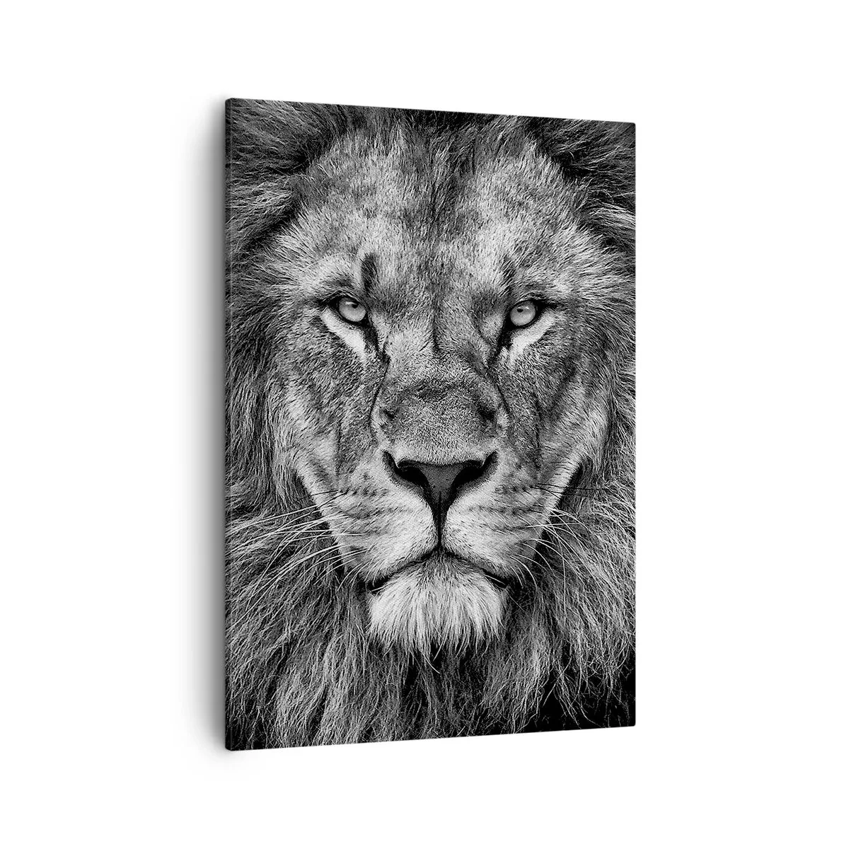 Cuadro sobre lienzo - Impresión de Imagen - Retrato de un majestuoso león en blanco y negro - 50x70cm - Con el atuendo de la coronación - Decoración de pared moderna para salón y dormitorio ARTTOR
