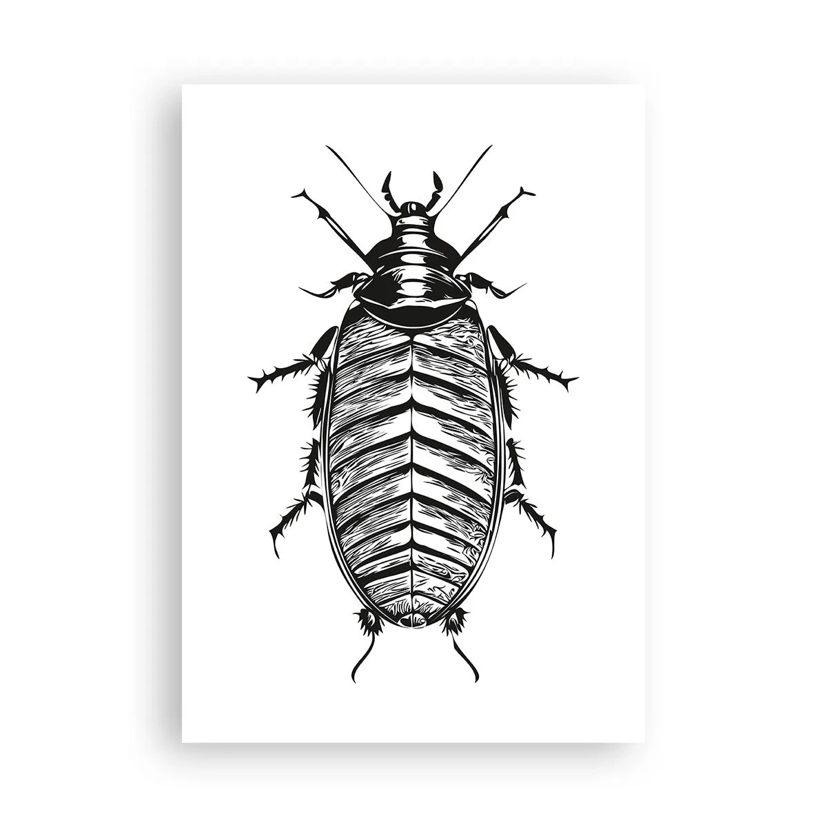 Póster - ¡Qué espécimen! - 70x100 cm