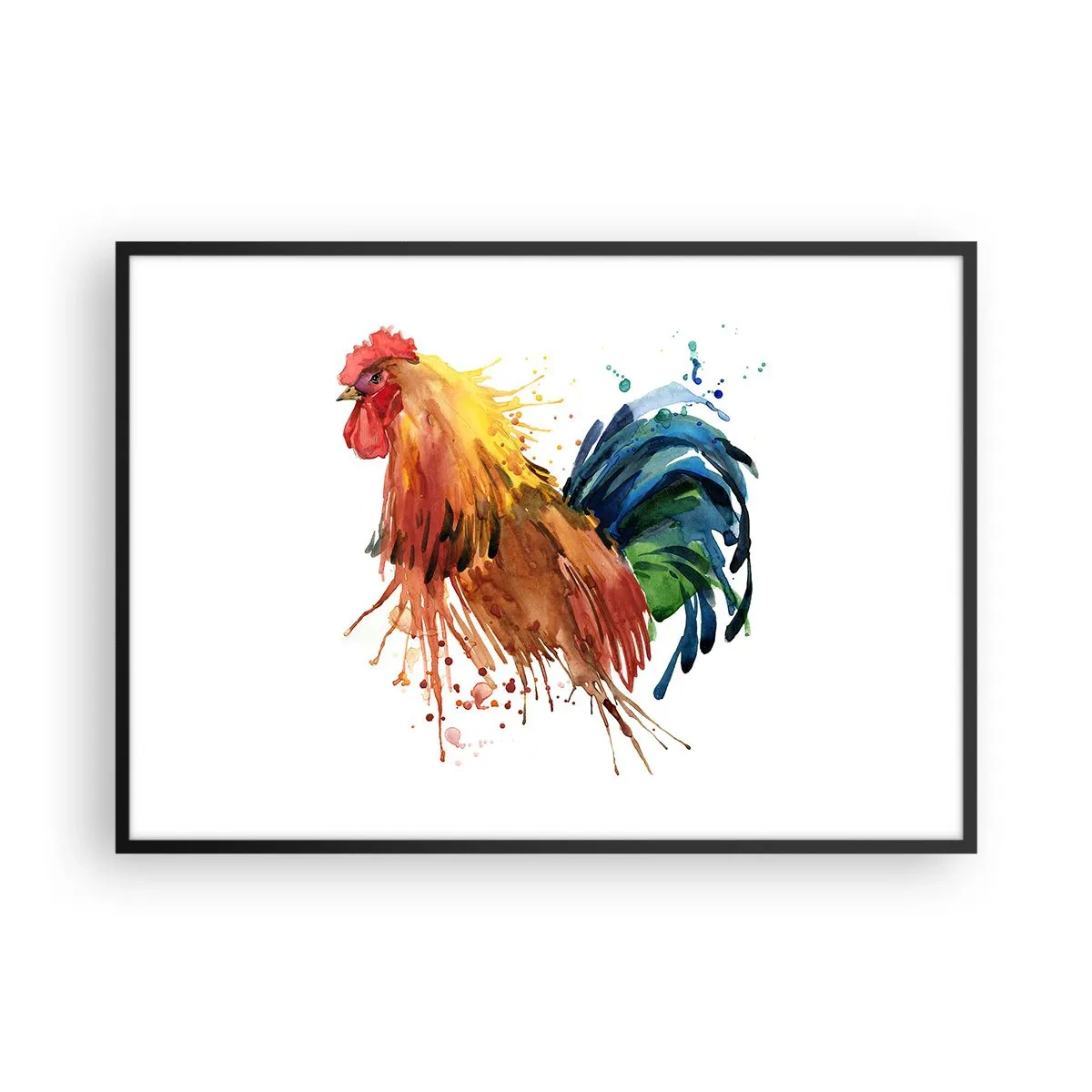 Póster en marco negro - Gallo colorido en estilo acuarela - 100x70cm - Un manto real, un orgullo real - Decoración de pared moderna para salón y dormitorio ARTTOR