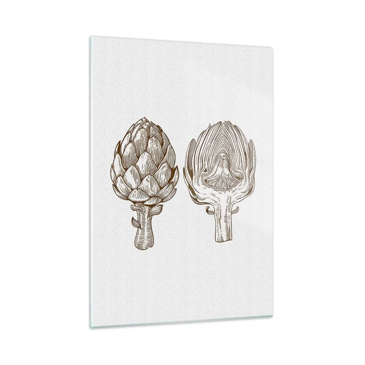 Cuadro sobre vidrio - Impresiones sobre Vidrio - Dibujo botánico de una alcachofa en su totalidad y en sección transversal. - 50x70cm - Lección de anatomía - Decoración de pared moderna para salón y dormitorio ARTTOR