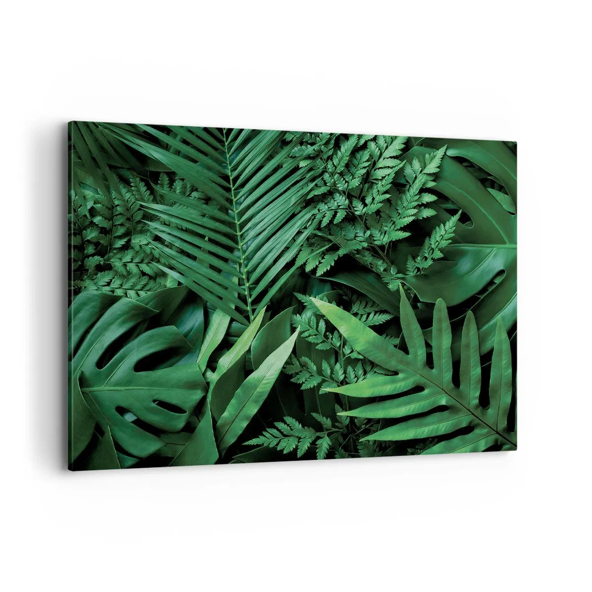 Cuadro sobre lienzo - Impresión de Imagen - Hojas tropicales verdes en una composición densa y natural. - 100x70cm - Abrazo verde - Decoración de pared moderna para salón y dormitorio ARTTOR