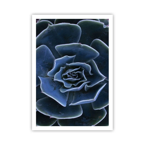 Póster - Flor del desierto - 70x100 cm