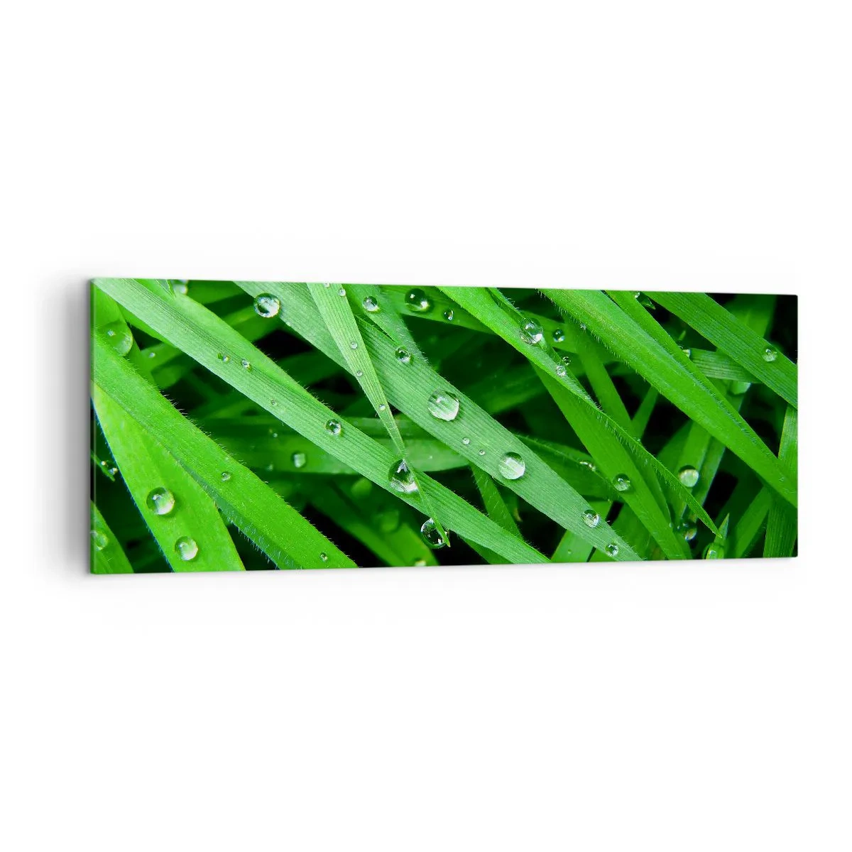 Cuadro sobre lienzo - Impresión de Imagen - Primer plano de hojas verdes de hierba con gotas de rocío - 140x50cm - Jugar al verde - Decoración de pared moderna para salón y dormitorio ARTTOR