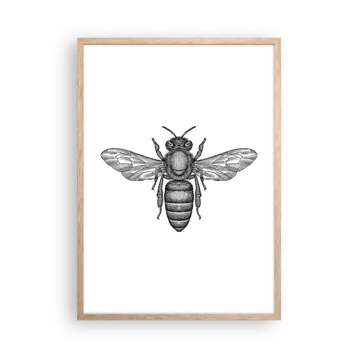 Póster en marco roble claro - Retrato de insecto - 50x70 cm