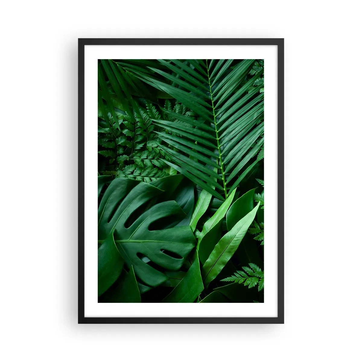 Póster en marco negro - Las hojas verdes de helechos y palmeras crean un patrón tropical. - 50x70cm - Abrazo verde - Decoración de pared moderna para salón y dormitorio ARTTOR