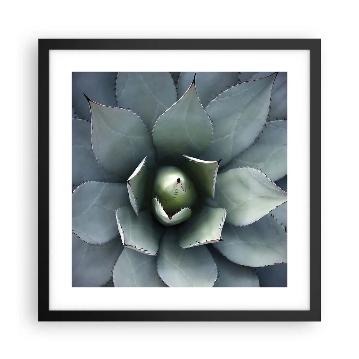 Póster en marco negro - Perfección natural - 40x40 cm