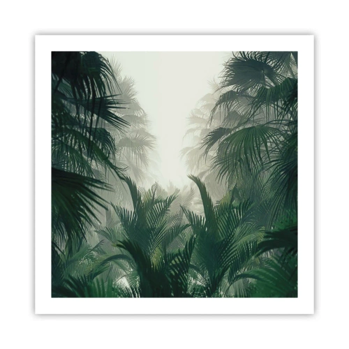 Póster - Misterio tropical - 60x60 cm