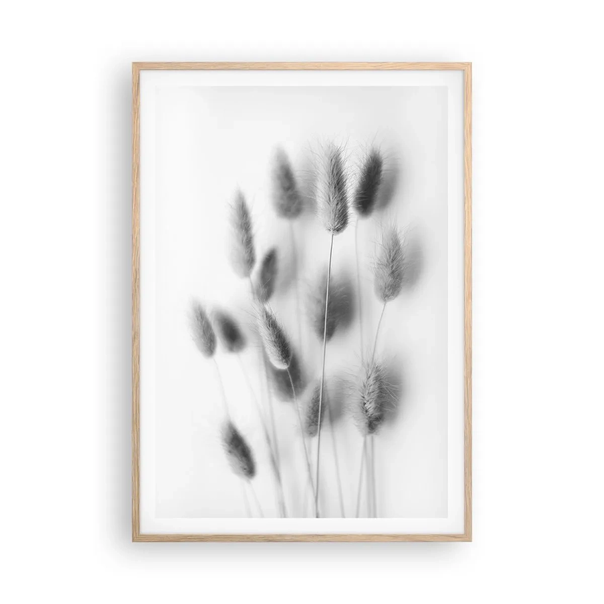 Póster en marco roble claro - Esponjas naturales - 70x100 cm