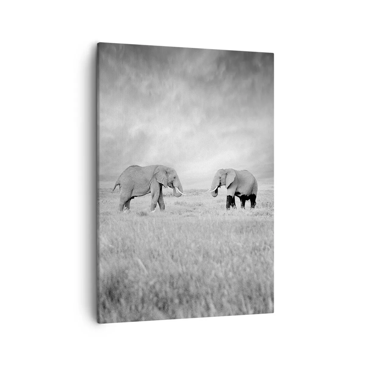 Cuadro sobre lienzo - Impresión de Imagen - Dos elefantes con la sabana africana como telón de fondo - 50x70cm - El gris es hermoso - Decoración de pared moderna para salón y dormitorio ARTTOR