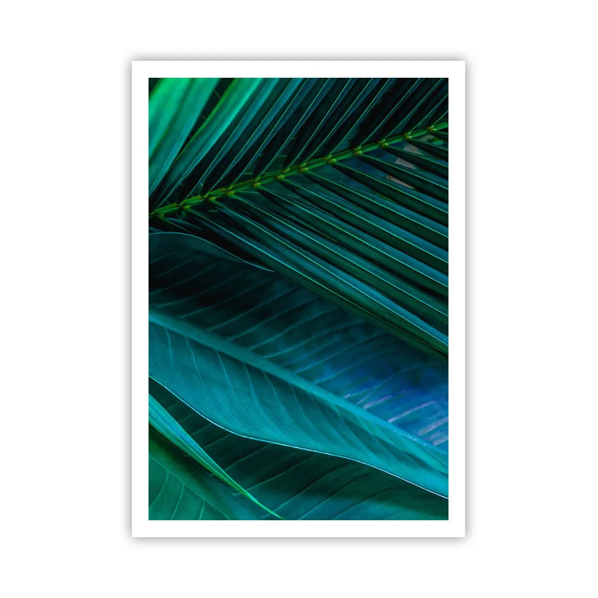 Póster - Anatomía del verde - 70x100 cm