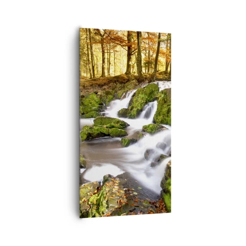 Cuadro sobre lienzo - Impresión de Imagen - Atravesando el bosque otoñal - 65x120 cm
