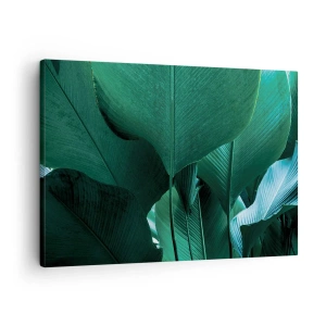 Cuadro sobre lienzo - Impresión de Imagen - Hojas verdes en una composición minimalista. - 70x50cm - De cara a la luz - Decoración de pared moderna para salón y dormitorio ARTTOR