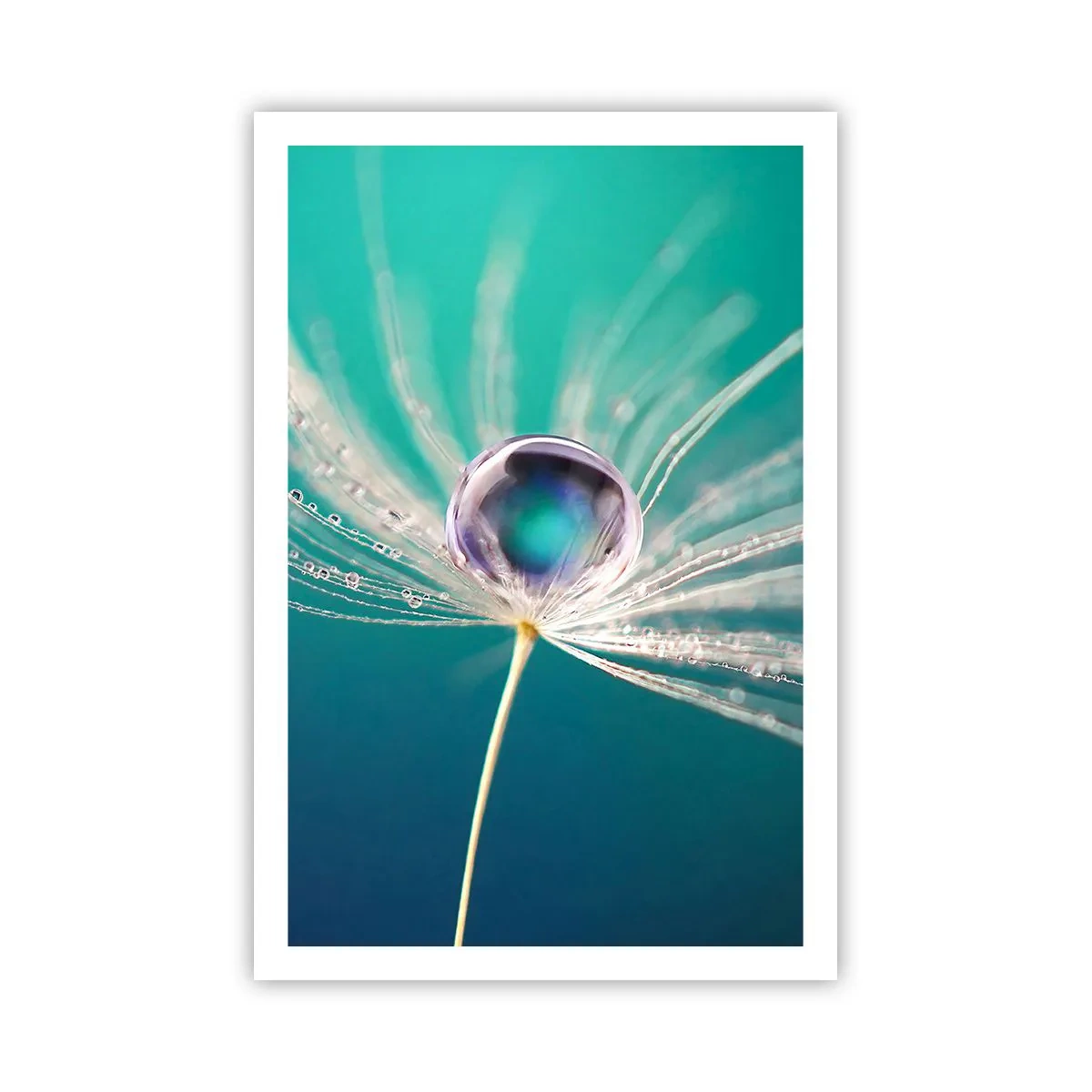 Póster - Momento místico - 61x91 cm