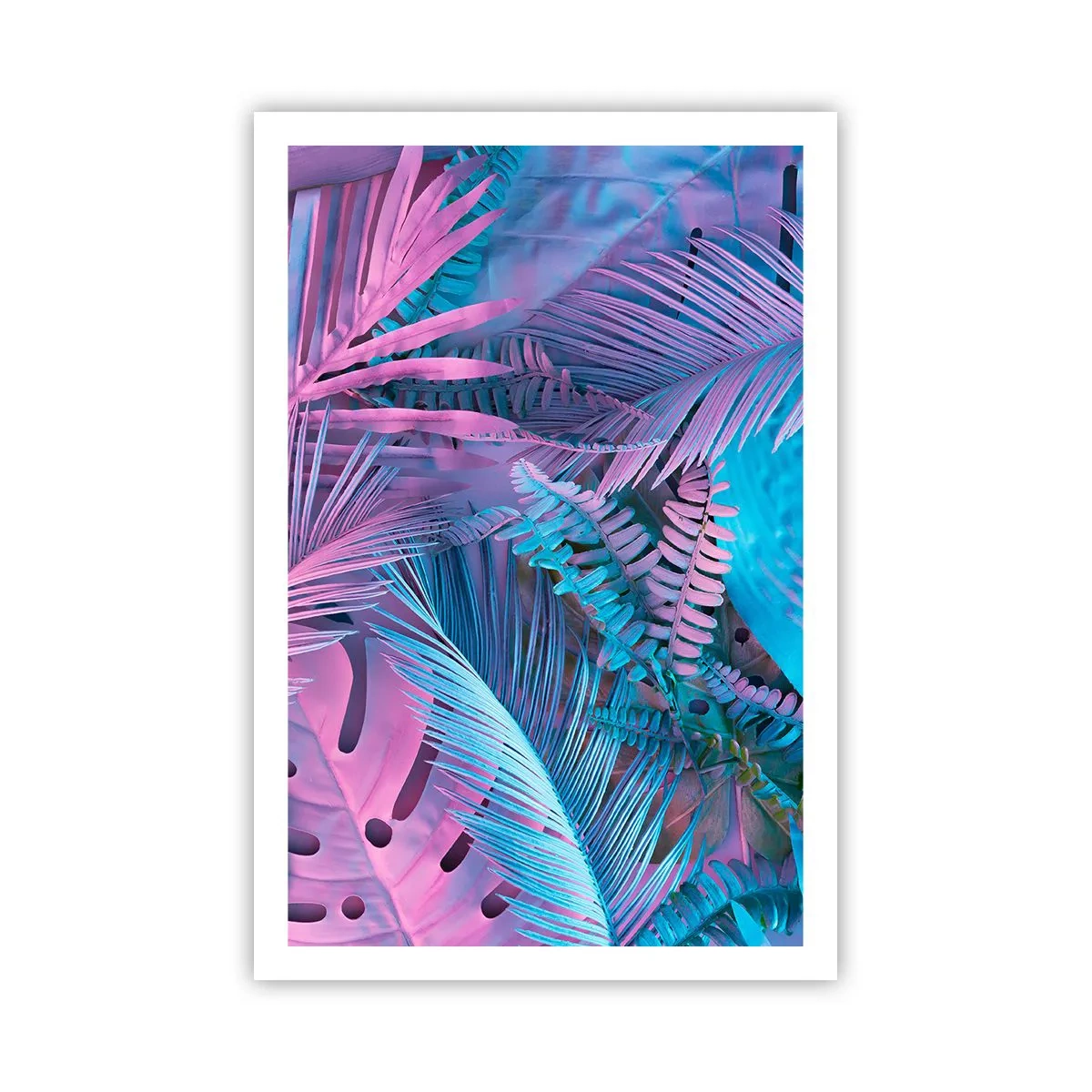 Póster - Trópicos en rosa y azul - 61x91 cm