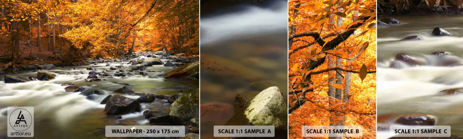 Muestra De Fotomural Standard Eco - Un arroyo en un bosque dorado - Paisaje, Bosque, Arroyo de montaña - 100x30 cm