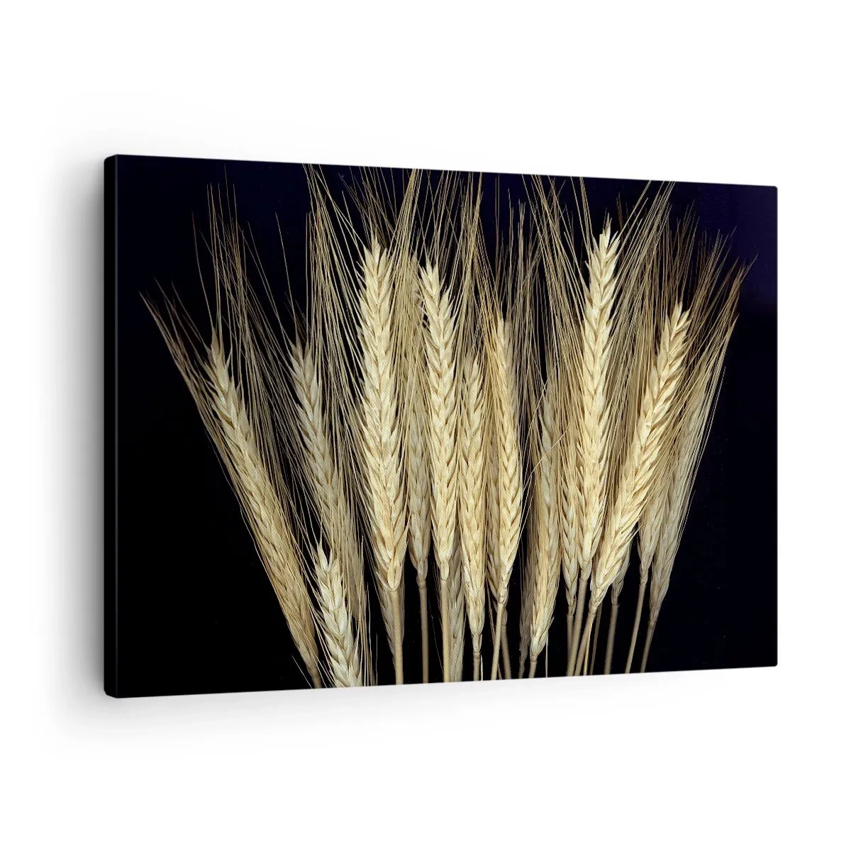 Cuadro sobre lienzo - Impresión de Imagen - Espigas de trigo sobre fondo negro en estilo rústico - 70x50cm - Magia rústica - Decoración de pared moderna para salón y dormitorio ARTTOR