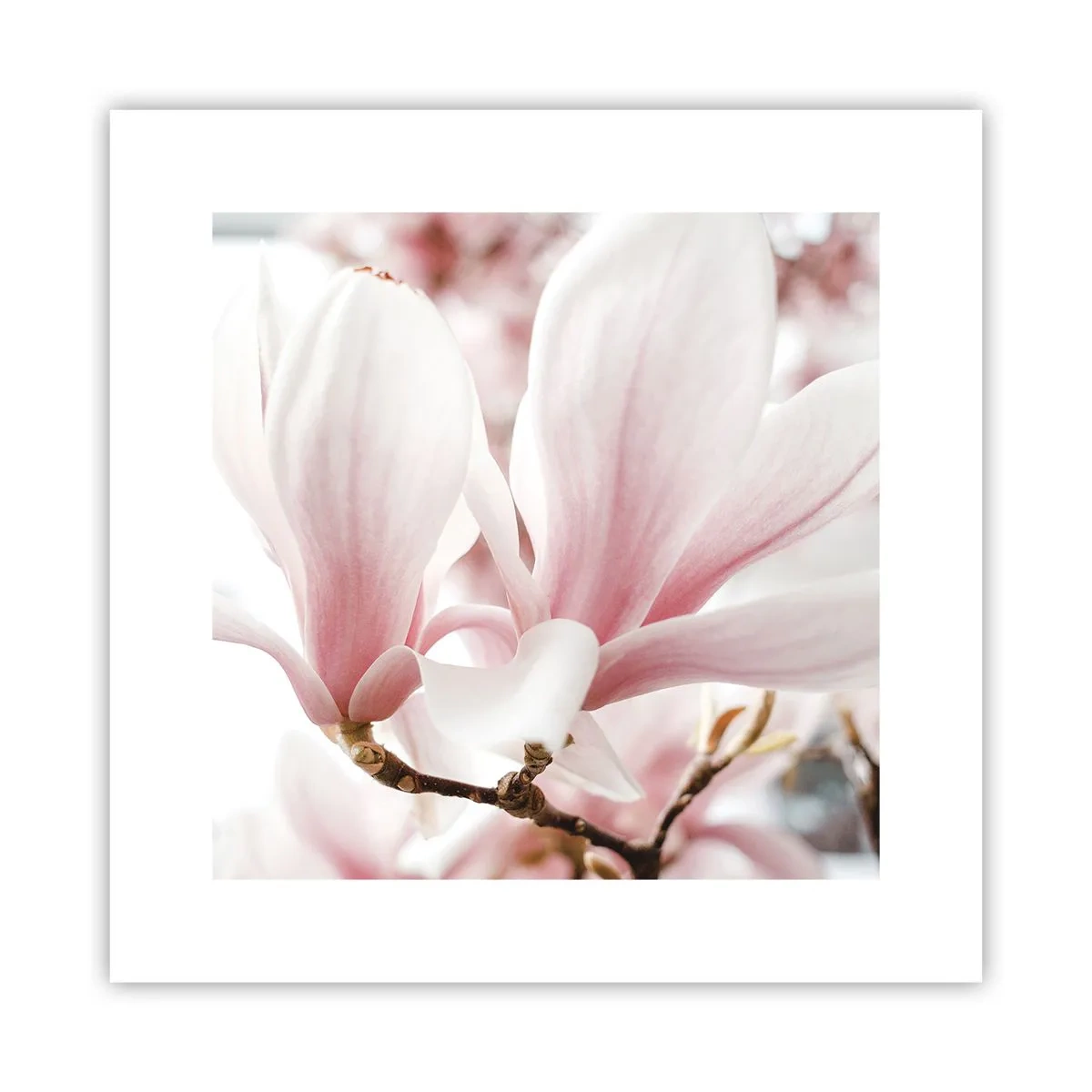 Póster - Inmensidad de la ternura - 30x30 cm