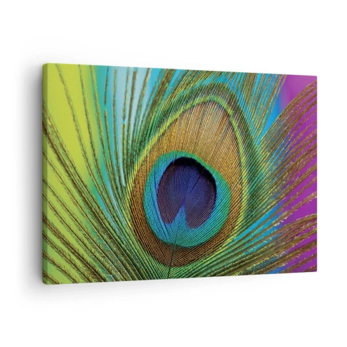 Cuadro sobre lienzo - Impresión de Imagen - Primer plano de una pluma de pavo real con colores vivos. - 70x50cm - Cara a cara - Decoración de pared moderna para salón y dormitorio ARTTOR
