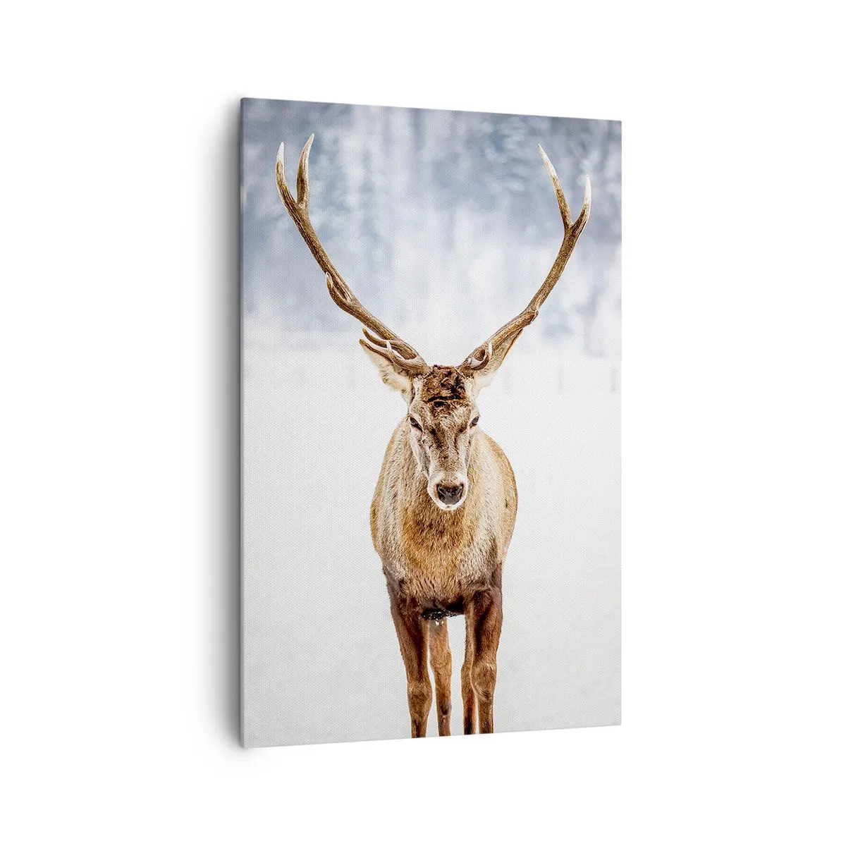 Cuadro sobre lienzo - Impresión de Imagen - Directamente desde la niebla de nieve - 80x120 cm