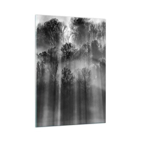 Cuadro sobre vidrio - Impresiones sobre Vidrio - Rayos de luz blancos y negros penetrando el bosque. - 50x70cm - En los flujos de luz - Decoración de pared moderna para salón y dormitorio ARTTOR