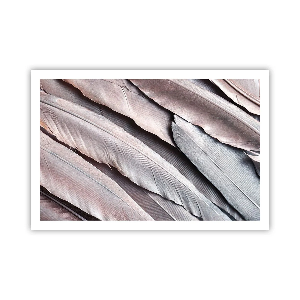 Póster - En rosa plateado - 91x61 cm