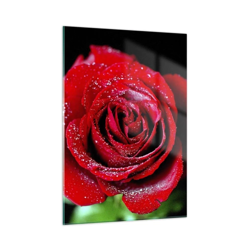 Cuadro sobre vidrio - Impresiones sobre Vidrio - Una rosa roja cubierta de gotas de rocío sobre un fondo oscuro. - 50x70cm - Eso es el amor - Decoración de pared moderna para salón y dormitorio ARTTOR