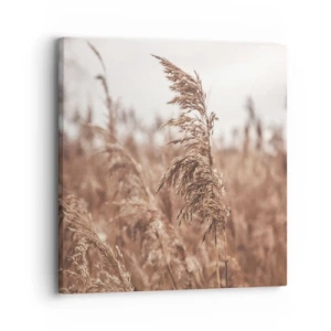 Cuadro sobre lienzo - Impresión de Imagen - El otoño ya está en los campos - 30x30 cm